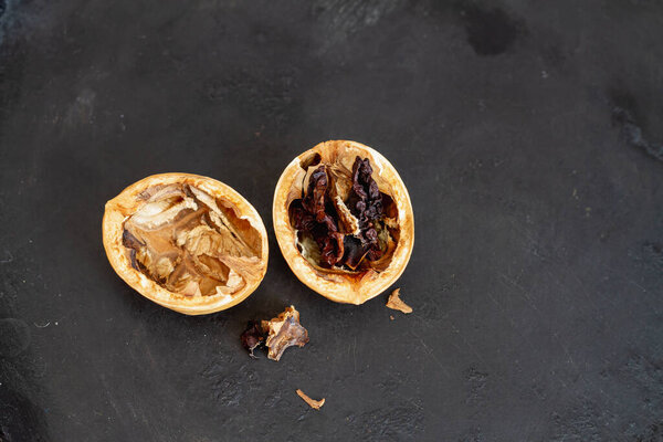 Rotten walnut with black background. Dried and spoiled walnut kernel.