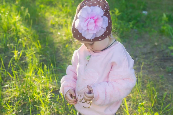 Дикая Полевая Бабочка Сидит Розовой Куртке Девочка — стоковое фото