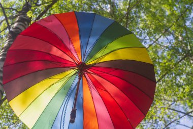 Renkli gökkuşağı şemsiyeleri, LGBT insanlarının bir sembolü olan parktaki sokağı süslüyor..