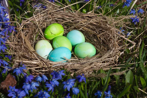 Green and blue eggs in a nest of straw and blue flowers among nature for the Easter holiday.