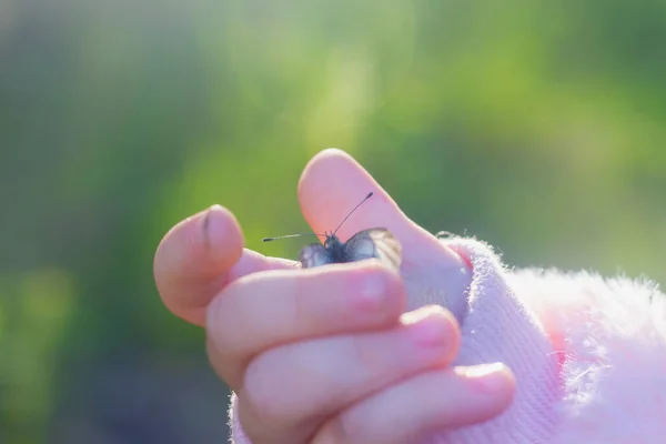 一个穿着粉色夹克的女孩手里拿着一只白蝴蝶 — 图库照片