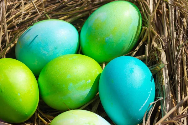 Zielone Niebieskie Jaja Gnieździe Słomy Niebieskie Kwiaty Wśród Przyrody Wielkanoc — Zdjęcie stockowe