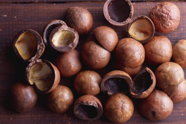 Yuvarlak Macadamia cevizinden kahverengi kabuk..