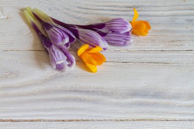 Beyaz ahşap arka planda narin mor ve sarı kır çiçekleri..