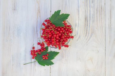 Olgun böğürtlen bahçesi kırmızısı üzümü, beyaz arka planda cam bir tabakta çalılıktan toplanır..