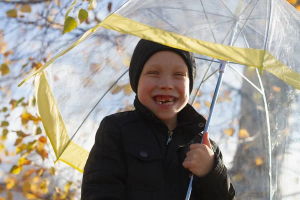 Vit Pojke Gammal Promenader Regnet Våren Eller Hösten Ett Transparent — Stockfoto