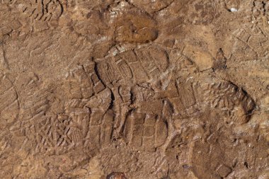 Sonbaharda veya ilkbaharda toprağın altındaki insanların ayak izleri..