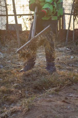 Bir çocuk geçen yıl baharda bahçede kurumuş çimenleri ve düşmüş yaprakları tırmıklıyor..