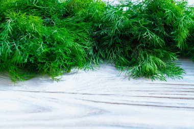 Büyük bir demet yeşil dereotu beyaz ahşap bir masa üzerinde, taze aromatik otlar hasat için dereotu.