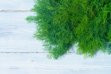 Büyük bir demet yeşil dereotu beyaz ahşap bir masa üzerinde, taze aromatik otlar hasat için dereotu