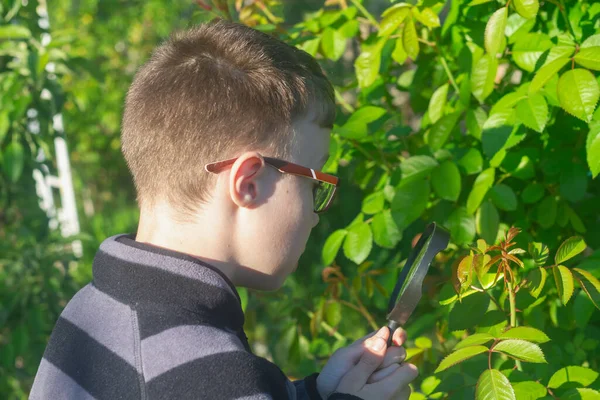 Un adolescent explore le monde des plantes et des insectes avec une loupe — Photo