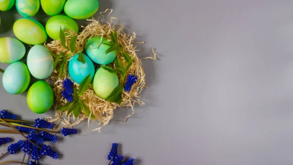 Пасхальный фон с зелеными пасхальными яйцами в соломенном гнезде с зелеными листьями и голубыми весенними цветами на сером столе — стоковое фото