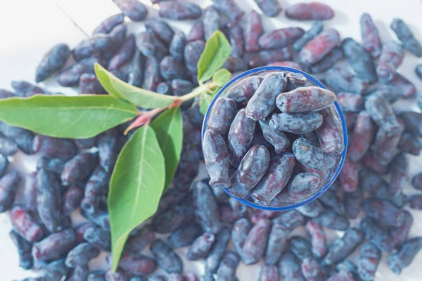 Blue Fresh Honeysuckle Berries Scattered White Table — Stock Photo, Image