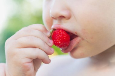 Beyaz kız olgun sulu çilekler yiyor. Yaklaş..