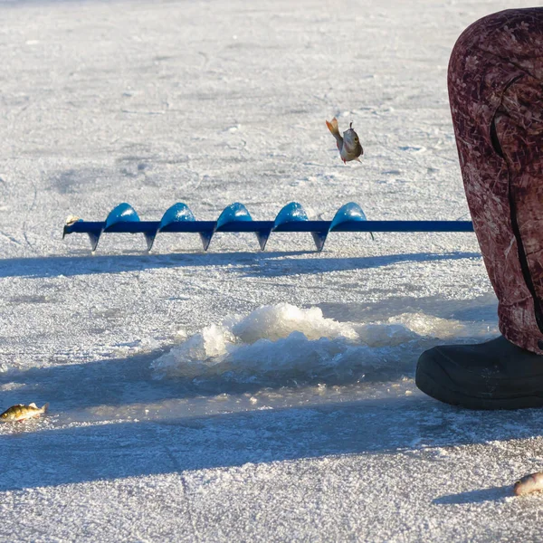 Winter Fishing Ice River Lake Fisherman Catches Fish Hole Ice — Stock Photo, Image