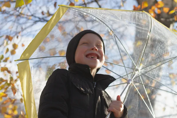 Ein Kind Einem Herbsttag Jubelt Und Lacht Unter Einem Regenschirm — Stockfoto