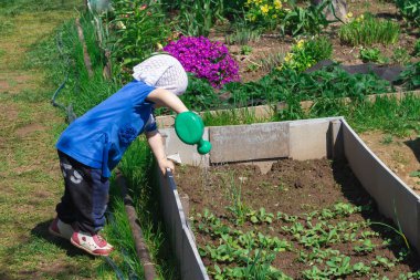 Mavi ceketli şirin bir kız çocuğu, sulama kutusundan bahçedeki çiçek tarlasına su döküyor..