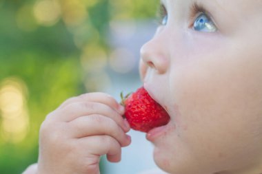Beyaz kız olgun sulu çilekler yiyor. Yaklaş..