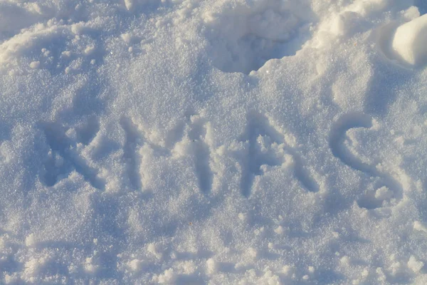 クリスマス イブの冬の雪のXmasの碑文 — ストック写真
