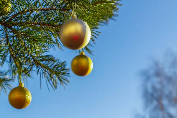 Χρυσές Μπάλες Στο Χριστουγεννιάτικο Δέντρο Χειμώνα Στο Φόντο Του Γαλάζιου — Φωτογραφία Αρχείου