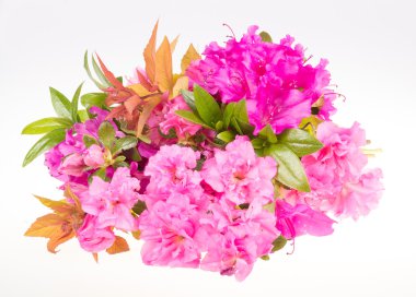 Ormangülü çiçek ile çiçek buketi