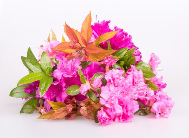 Ormangülü çiçek ile çiçek buketi