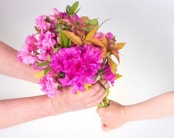Criança dando flores — Fotografia de Stock