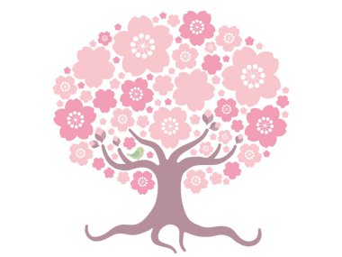 Çiçek açmış bir kiraz ağacının tasviri. Kökler ve dallar çizildi. Bir kuş var..