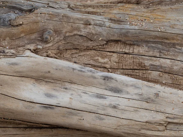 Över Grov Struktur Gammal Förfallen Trädstam Naturligt Mönster Ljusbrun Trä — Stockfoto