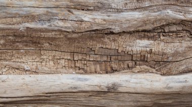 Ağaç gövdesinin dokusu, doğal desenli kaba gri-kahverengi ahşap yüzeyi. Ahşap çürümesi. Eski grunge koyu ahşap arka plan.