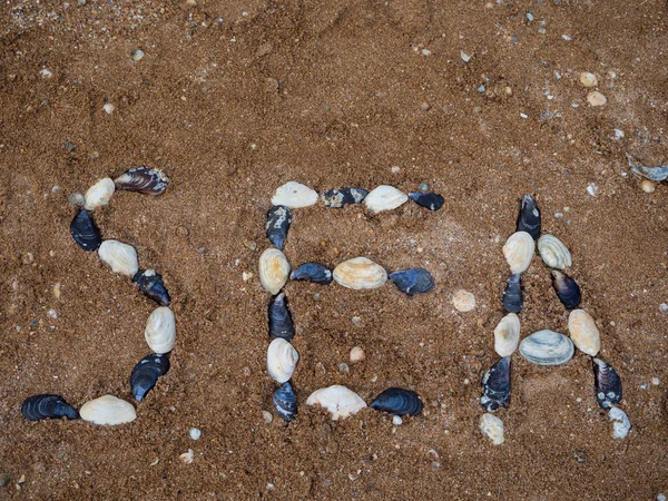 Close Inscription Beach Sea Sea Sand Shell Beach Text Lined — Fotografia de Stock