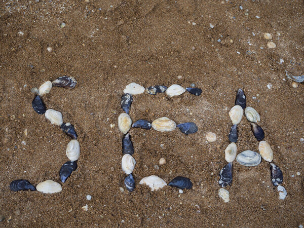 Close-up of the inscription on the beach-the sea. On the sea sand-shell beach, the text is lined with shells. Signs and symbols.