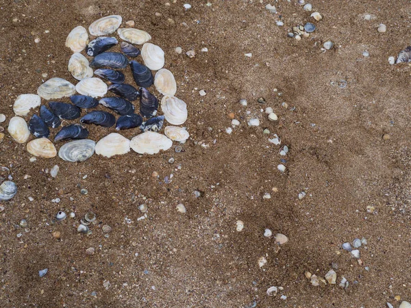 Cuore Conchiglie Bianche Blu Adagiate Uno Sfondo Estivo Sabbia Conchiglie — Foto Stock