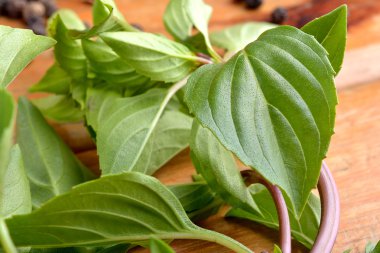 Taze yeşil fesleğen