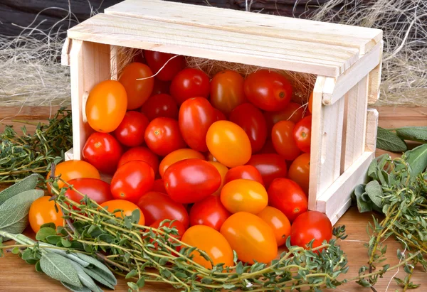 Tomates italianos en caja —  Fotos de Stock