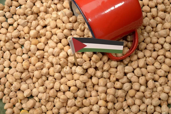 鹰嘴豆或鹰嘴豆与巴勒斯坦旗帜 — 图库照片