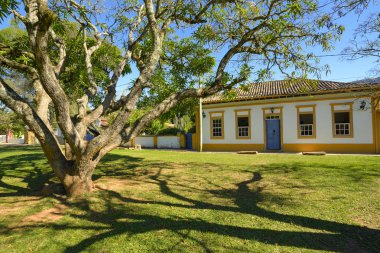 Yaşlı bir ağaç olan sömürge ev