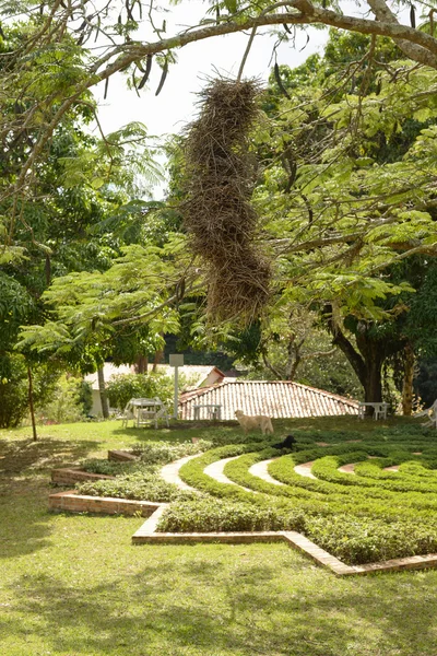Medytacja labiryntu na Ravena - Minas Gerais, Brazylia — Zdjęcie stockowe