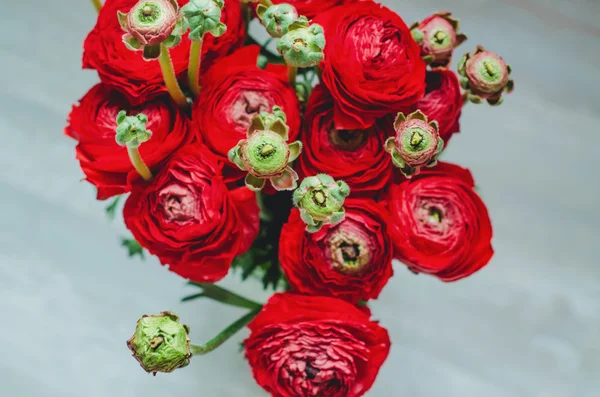 美しい春の花の赤と緑のキンポウゲ ラナンキュラスの花束ホワイト バック グラウンド マクロ — ストック写真
