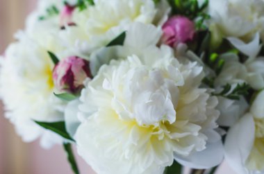 Arka plan güzel beyaz ve pembe peonies soyut