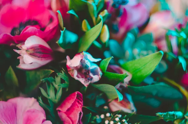 Bellissimi fiori colorati sfondo astratto. rosa, blu, ciano, verde, fluorescente Colore vivido — Foto Stock