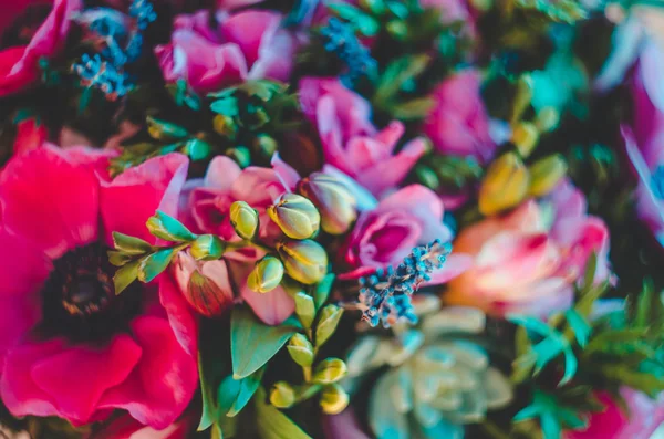 Hermosas flores coloridas fondo abstracto. rosa, azul, cian, verde, color vivo fluorescente — Foto de Stock