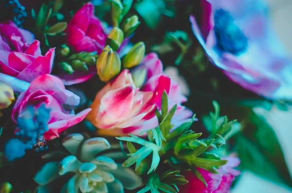 Hermosas flores coloridas fondo abstracto. rosa, azul, cian, verde, color vivo fluorescente — Foto de Stock