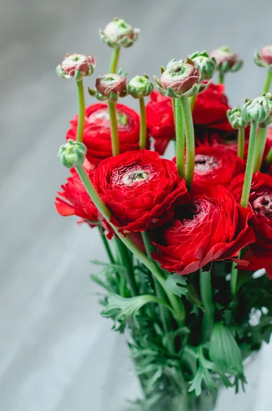 Букет з різнокольорових масляних чашок червоних квітів бігун на білому тлі. русичний стиль — стокове фото