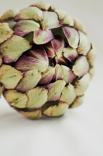 Single ripe organic  beige artichoke on white background. soft rustic style. selected focus. — Stock Photo, Image