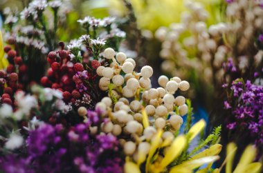 Soyut doğa arka plan. Renkli yeşil, kahverengi, bej, kırmızı, sarı topu rustik çiçek zemin. Seçilen odak