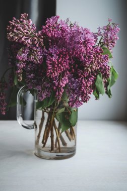 Natürmort çiçek açan yaylı vazo, koyu arka plan içinde Lila çiçek dalları. Ev dekorasyon bir rustik tarzda. Odada beyaz pencere üzerinde Menekşe buketi.