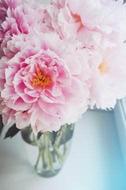 Çiçek duvar kağıdı, çiçek yaprakları kökenli. Trend renkleri pembe ve mavi. Güzellik Şakayık, peonies, gül çiçek. Bloom aşk kavramı. -Oyun kağıdı, metin yer, kopya alanı.