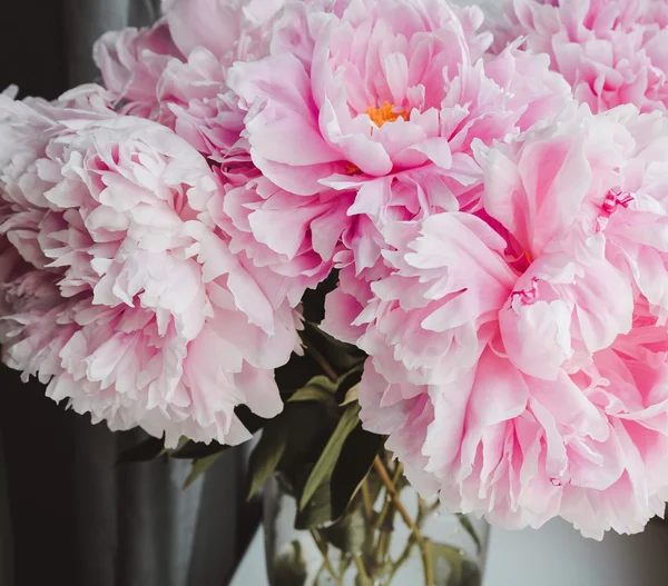 Bellezza mazzo di peonie rosa peonia fiori in fondo vaso. Primavera o estate bel bouquet. Bloom concetto di amore. Scheda, luogo di testo, spazio di copia. Sfondo — Foto Stock