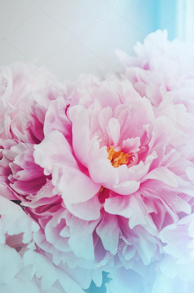 Bolo com decoração floral delicada e fita para casamento de primavera ou  verão